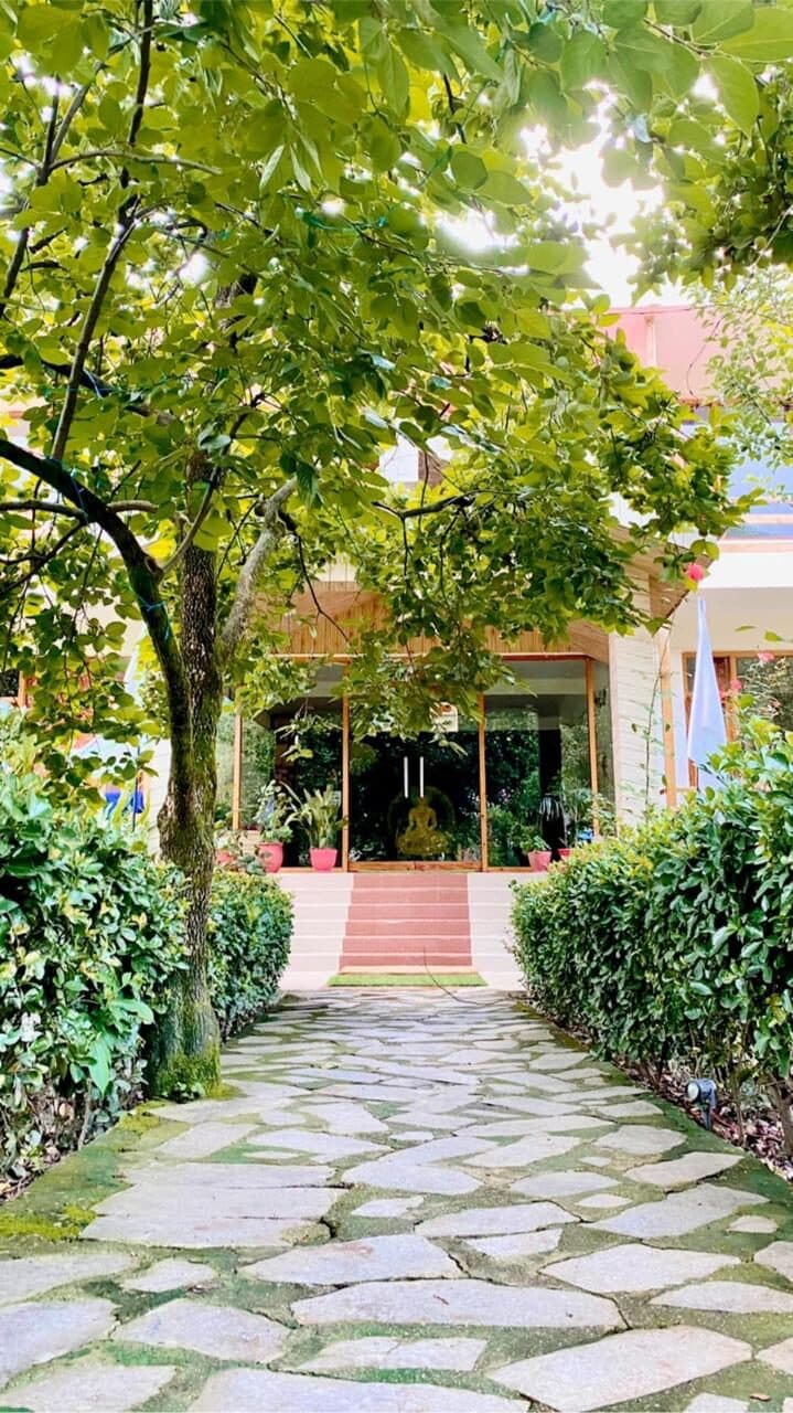 A stone path through the garden to the house
