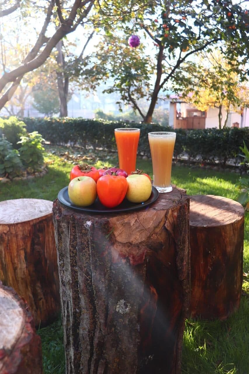Welcome cups and fresh orchard juice on a tree stump