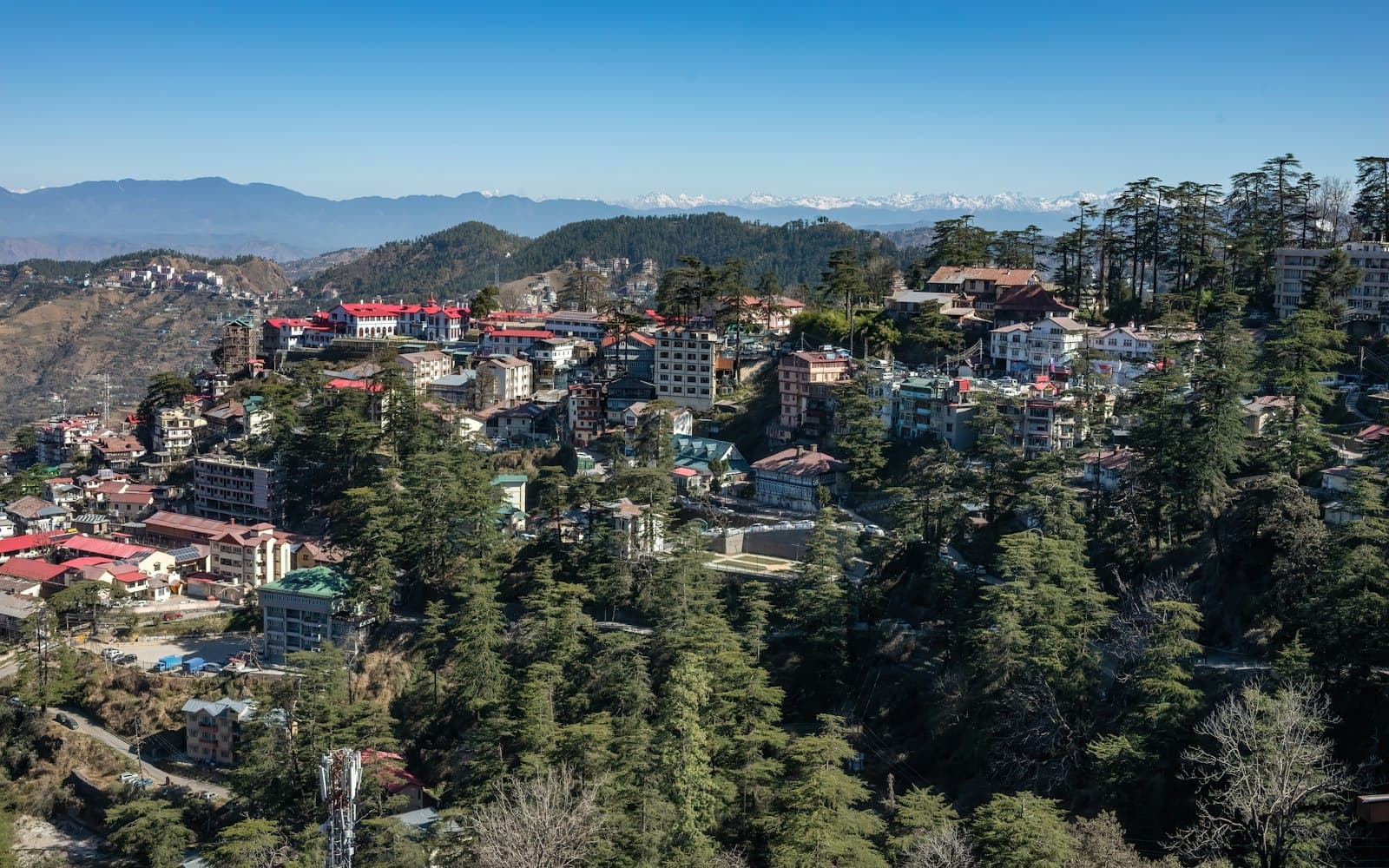 The Delhi to Manali Road Trip: An Honest Guide to the 530km Drive
