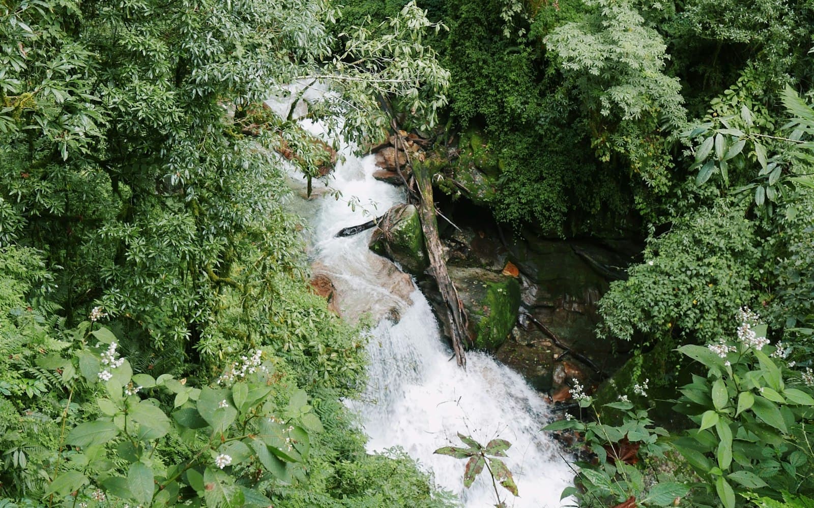 Vashisht Hot Springs & Jogini Falls: A Half-Day We Send Almost Every Guest On