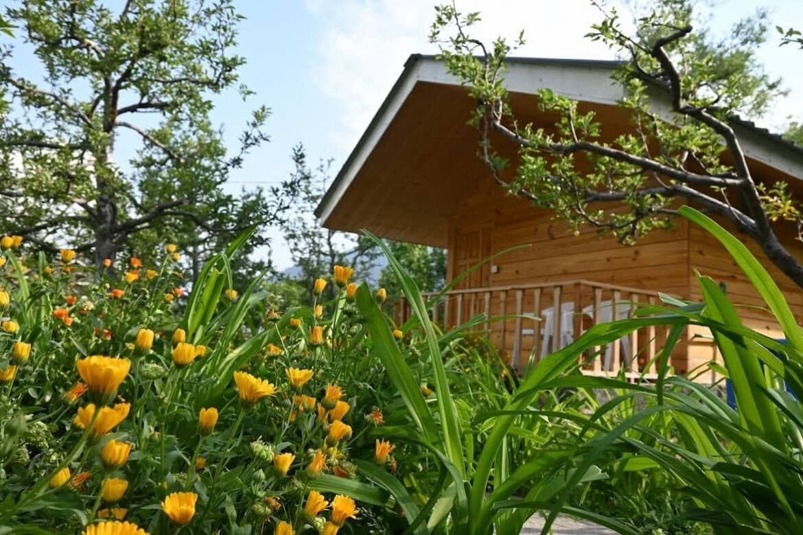A chalet behind a bed of marigolds at Shanag